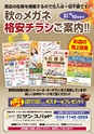 2015秋企画