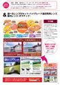 メガネイージーオーダー 2016秋