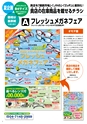 メガネイージーオーダー 2018 夏カタログ